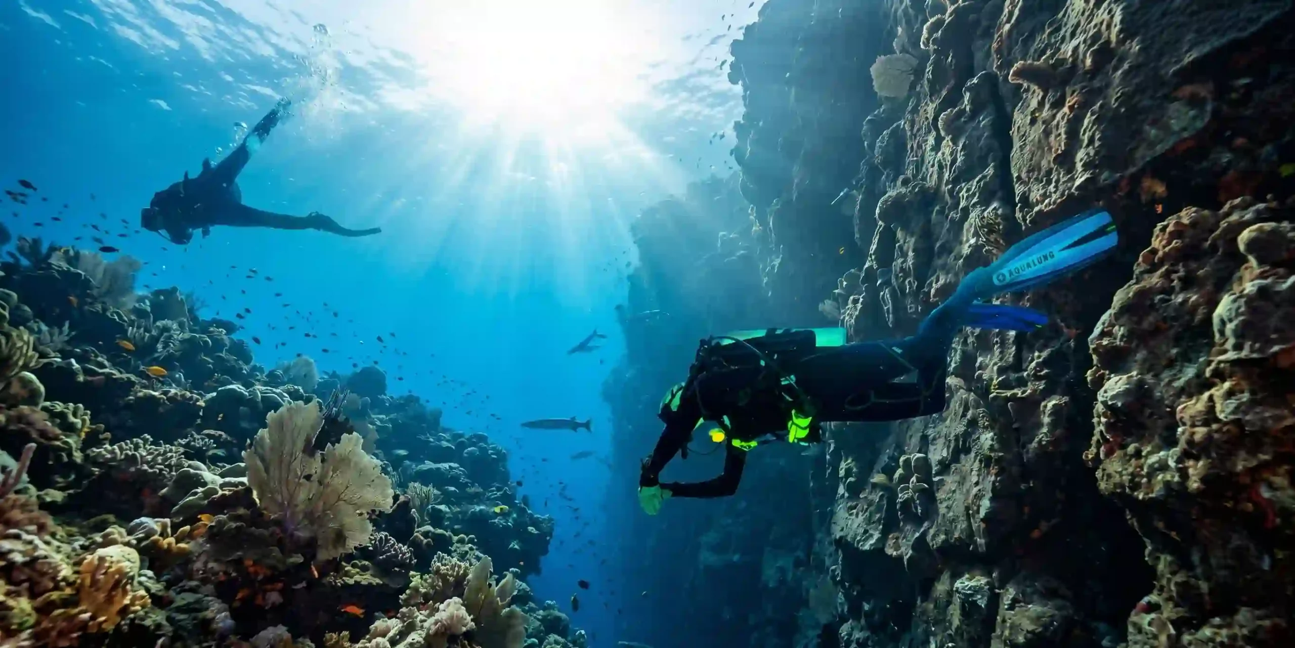  PADI Specialty-Kurse