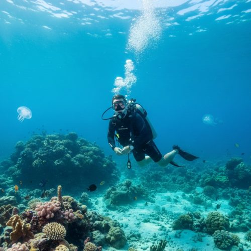 fun-dive-einzeltauchgang-amed-bali-liquid-blue