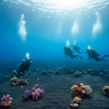 Eine Gruppe von Tauchern erkundet einen Korallengarten auf schwarzem Vulkansand in Amed – perfekt für das 30er Family and Friends Tauchpaket von Liquid Blue Bali.